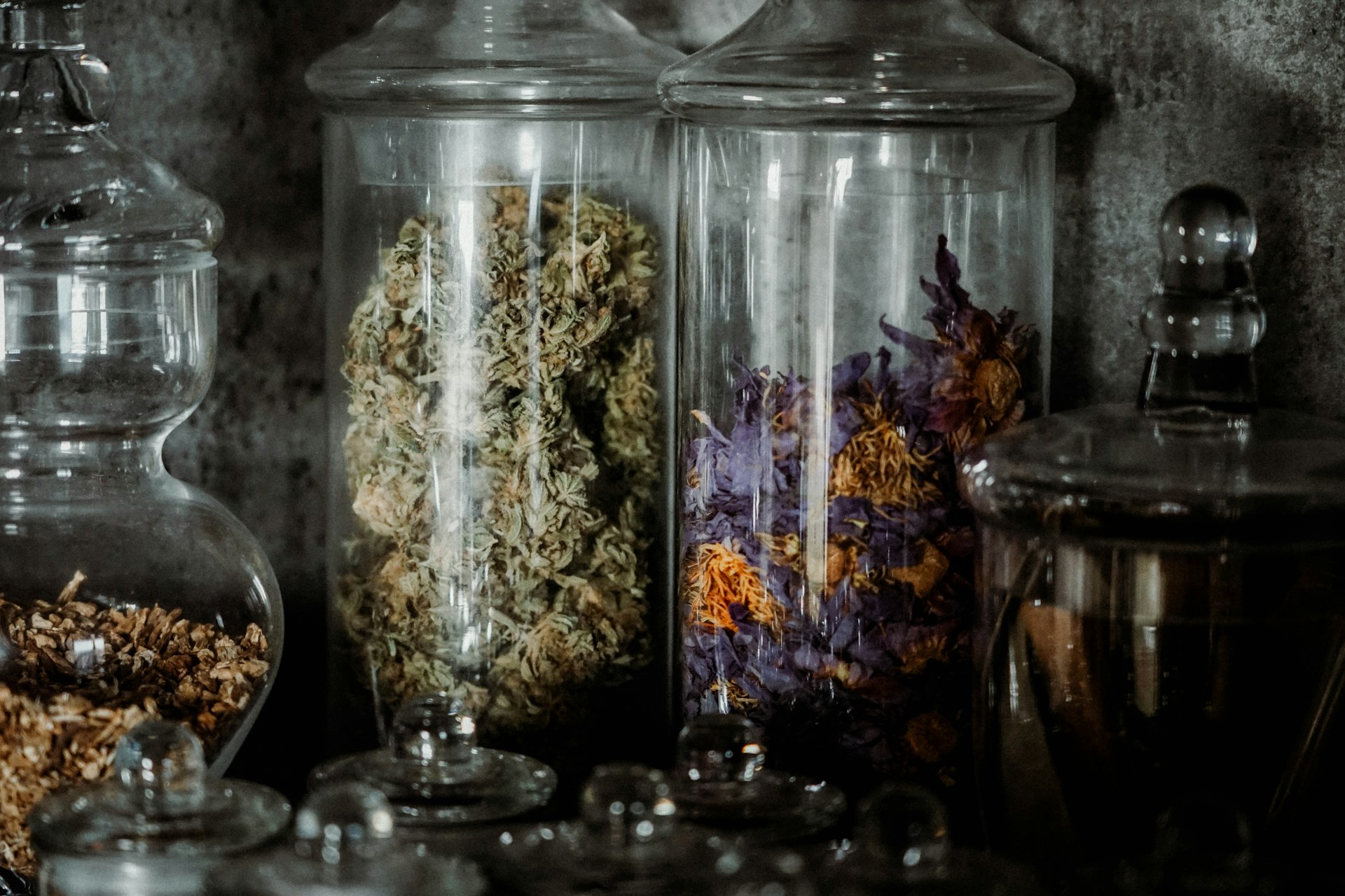 Tall glass apothecary jars holding cured cannabis flower and dried botanicals on a dark shelf