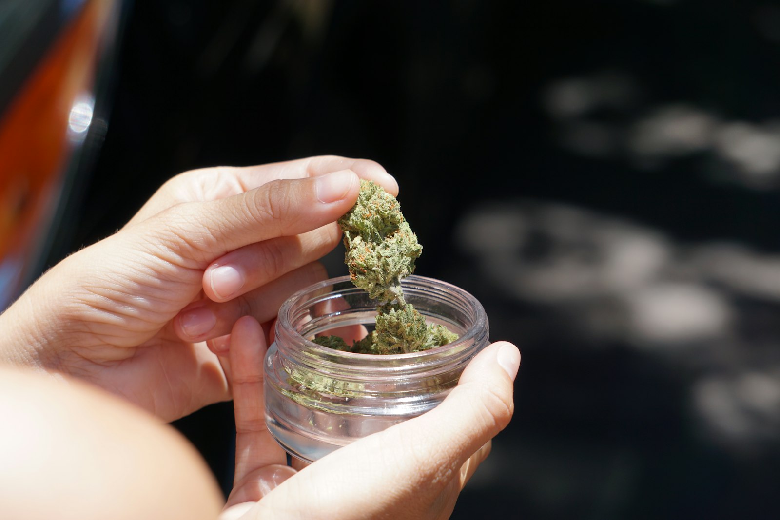 A person placing a cannabis bud into a small clear glass storage jar