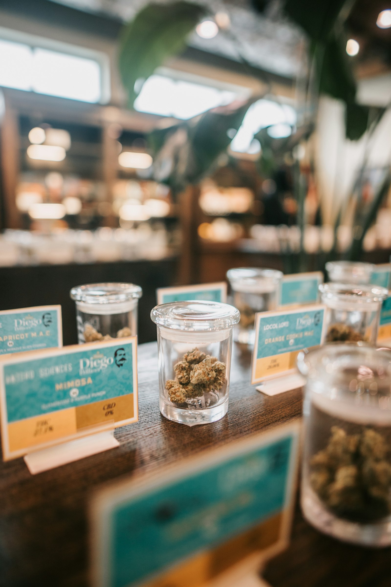 A row of small glass jars of cannabis flower on a dispensary counter, each with a printed card listing the strain name and THC and CBD percentages